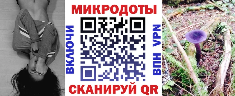 нарко площадка как зайти blacksprut ONION Моздок Галлюциногенные грибы мицелий