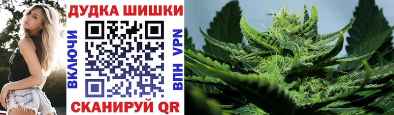 Шишки марихуана THC 21%  Моздок 